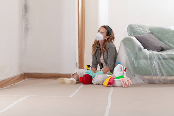 Reliable Black Mold Removal contractor in Shrewsbury, NJ by WQB Mold Removal